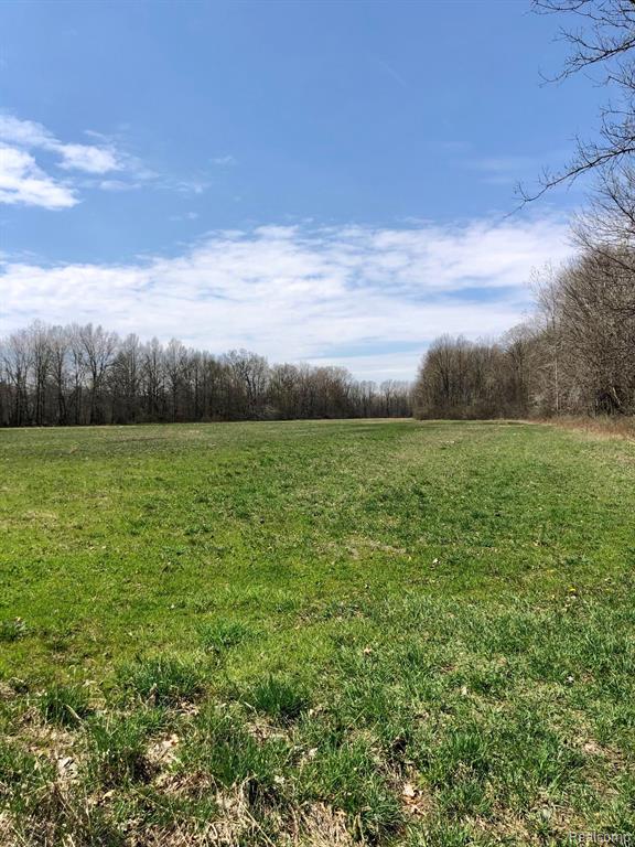 21232 Karr Road Belleville, MI 48111 - Photo 2 of 24