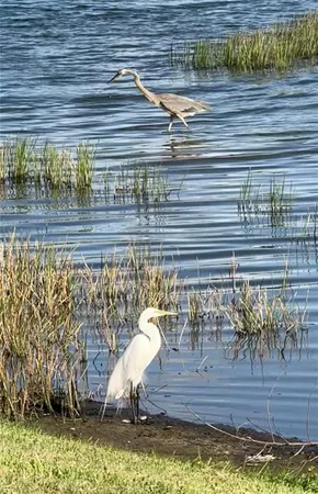 a view of a hallway with entryway and dining room view