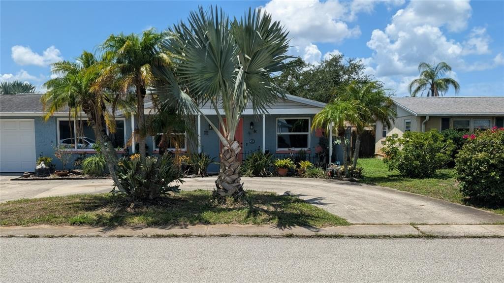 3452 Chauncy Road Holiday, FL 34691 - Photo 2 of 24