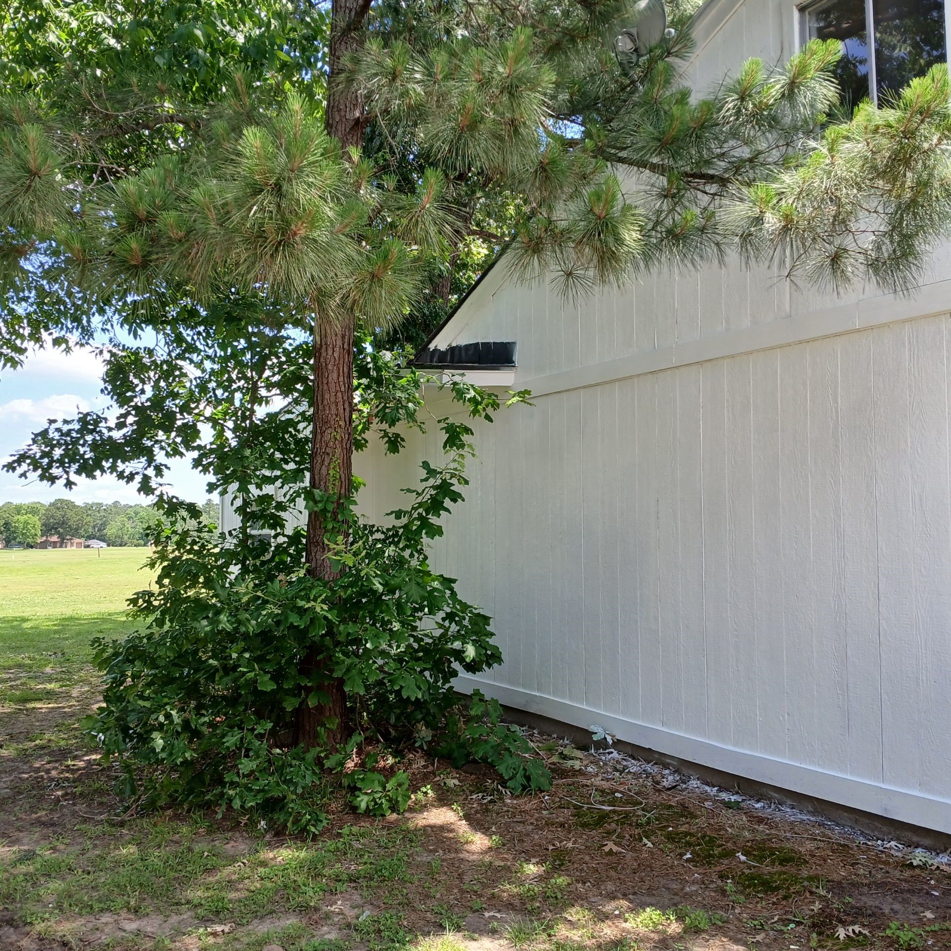 18 Townhouse Lane, Unit 18 Trinity, TX 75862 - Photo 29 of 30