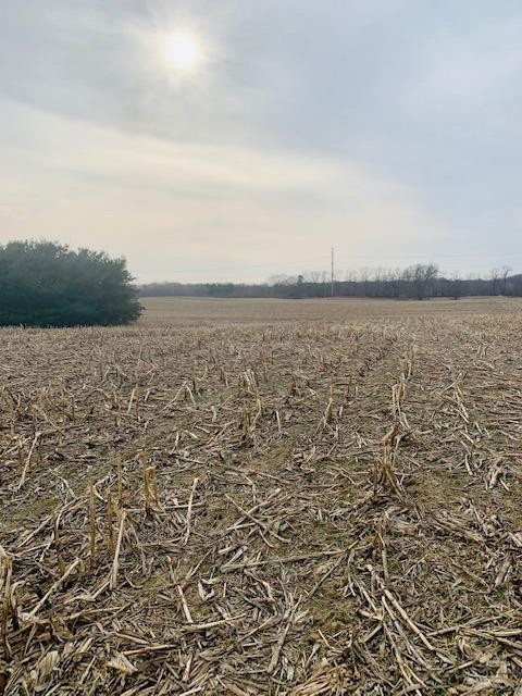 0 Parcel 3 Pingree Road Howell, MI 48843 - Photo 2 of 3 Photo 2