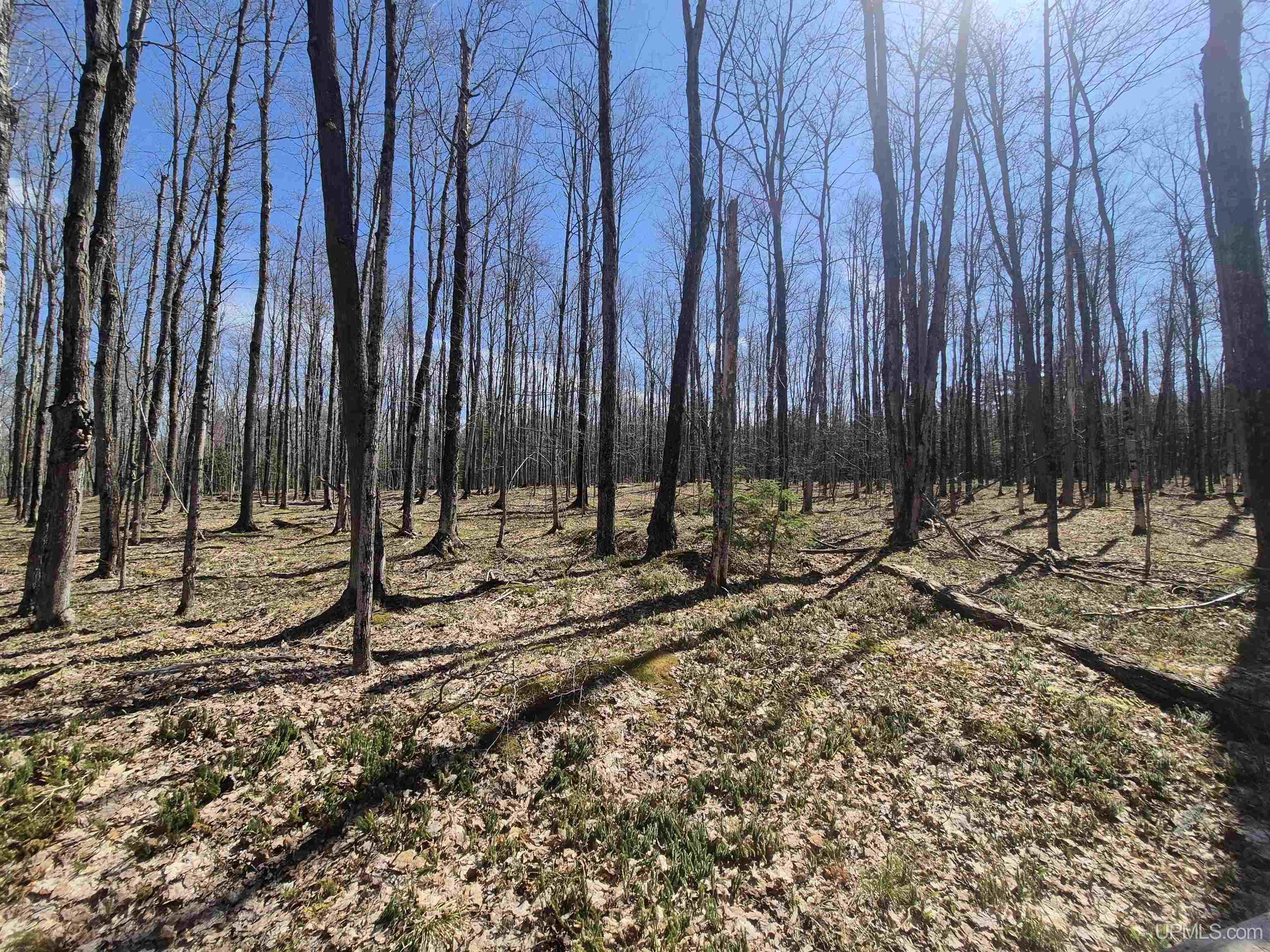12-acres Salmon Road L'Anse, MI 49946 - Photo 34 of 39