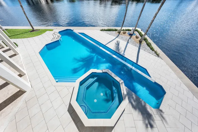 a view of a plant in a garden