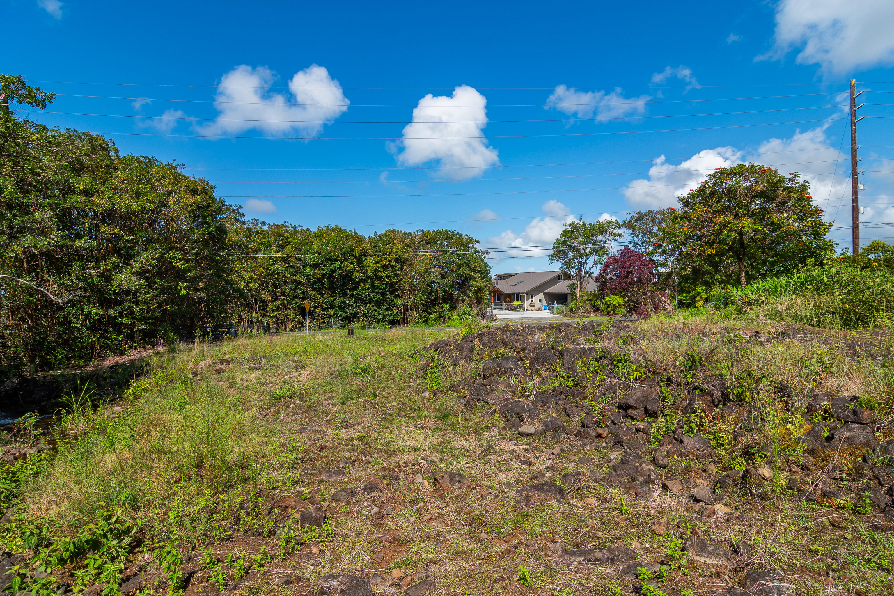 Lot J Akolea Road Hilo, HI 96720 - Photo 8 of 14