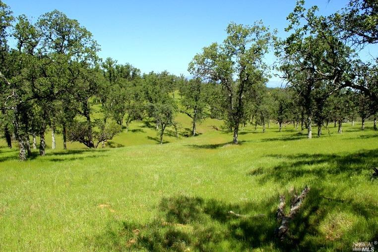 0 Xx Road Red Bluff, CA 96080 - Photo 1 of 1 a view of a golf course