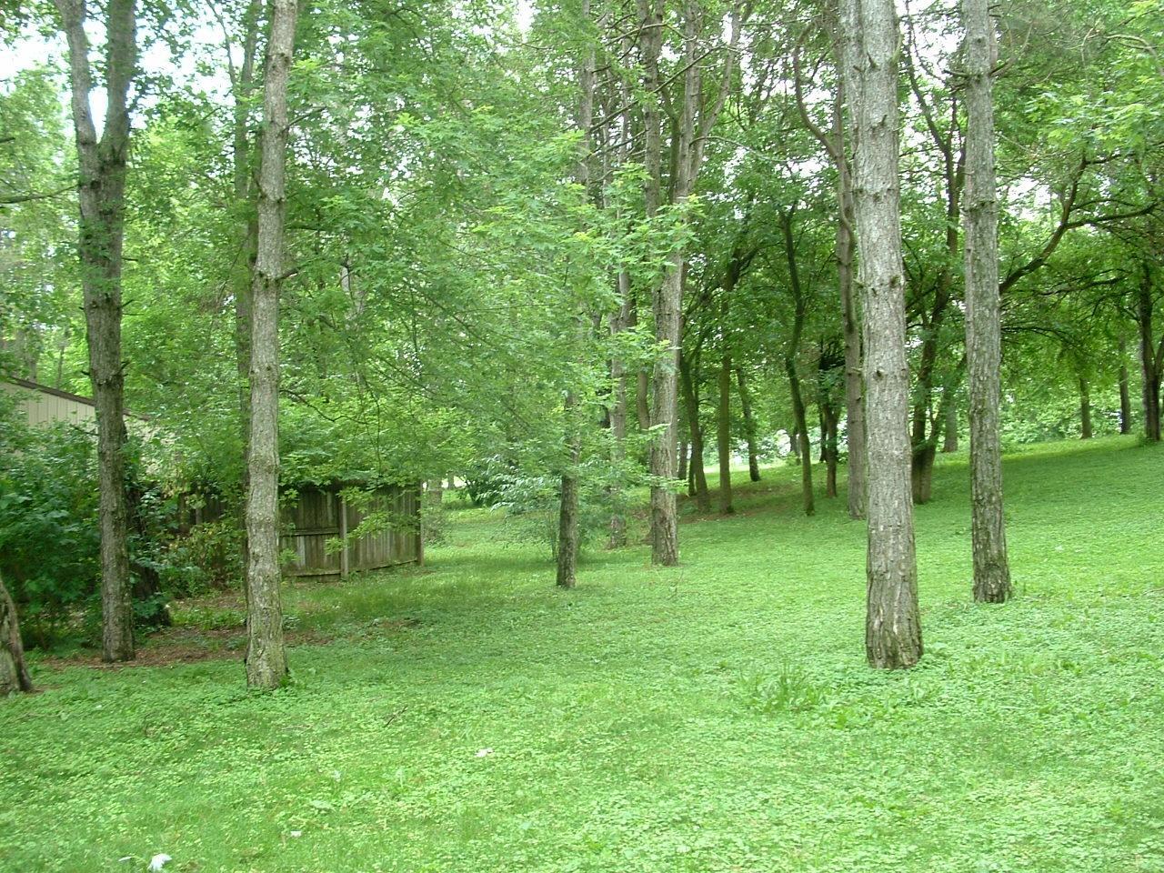 153 Main Road Delaware, OH 43015 - Photo 14 of 14