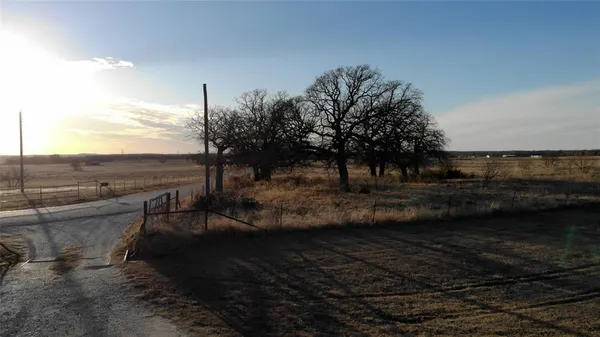 a view of a dry yard with trees