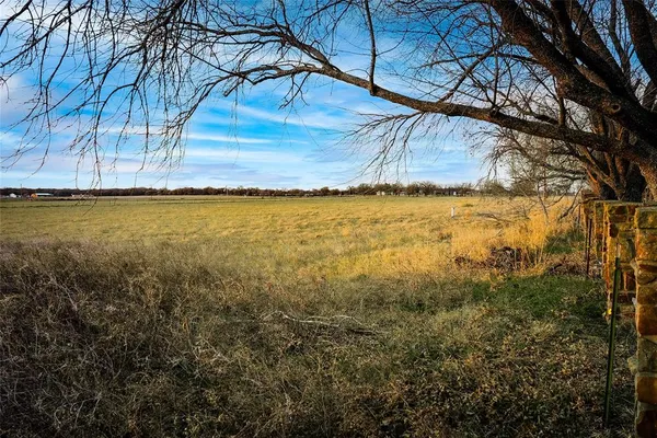 a view of a dry yard with wooden fence