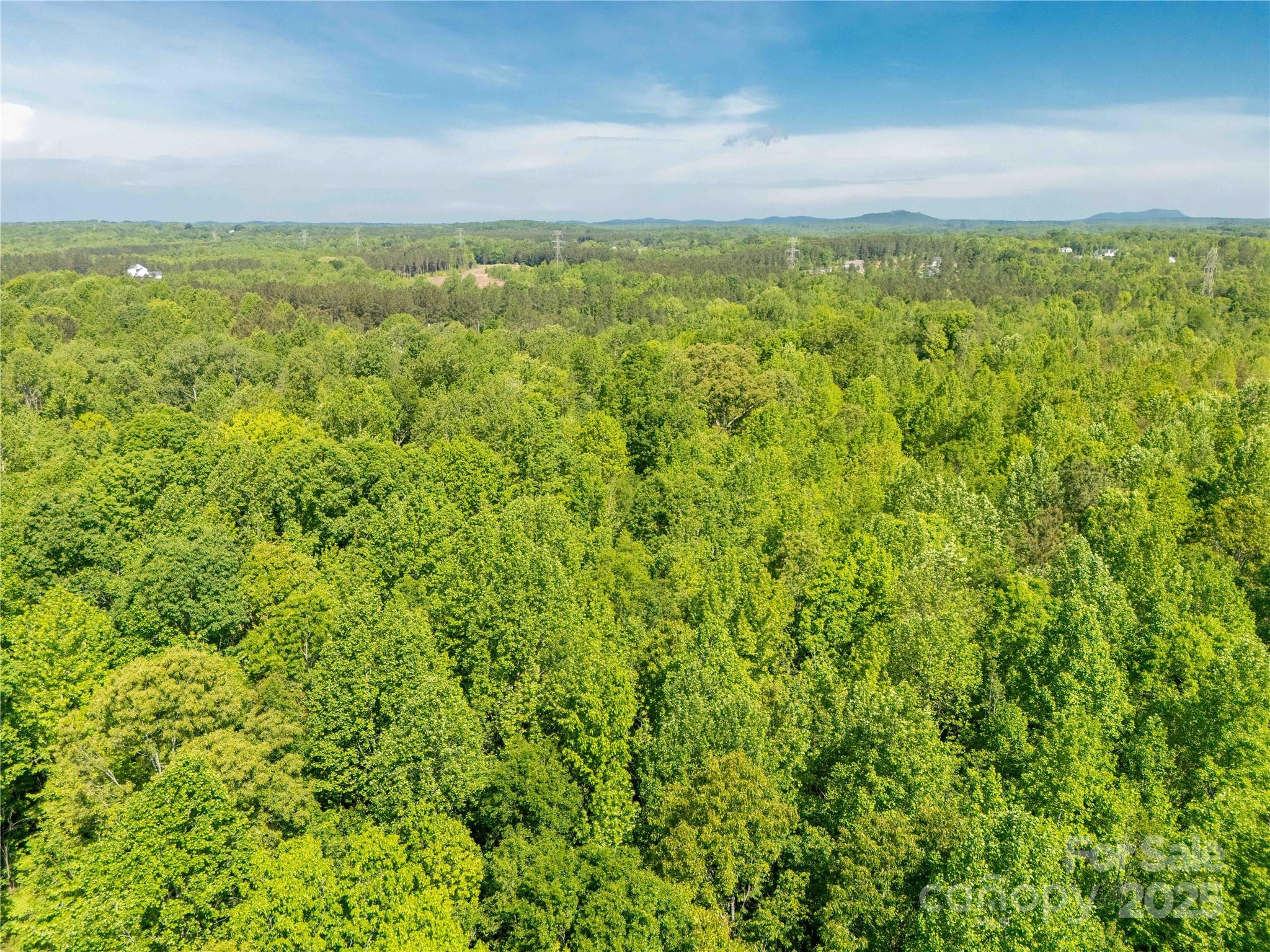 5212 Star Magnolia Court Clover, SC 29710 - Photo 12 of 15