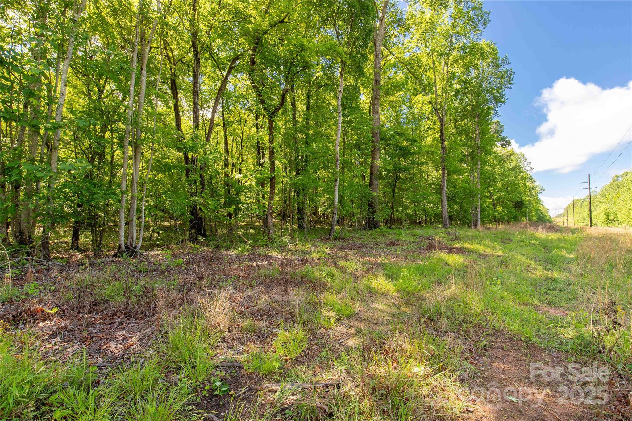 5212 Star Magnolia Court Clover, SC 29710 - Photo 10 of 15