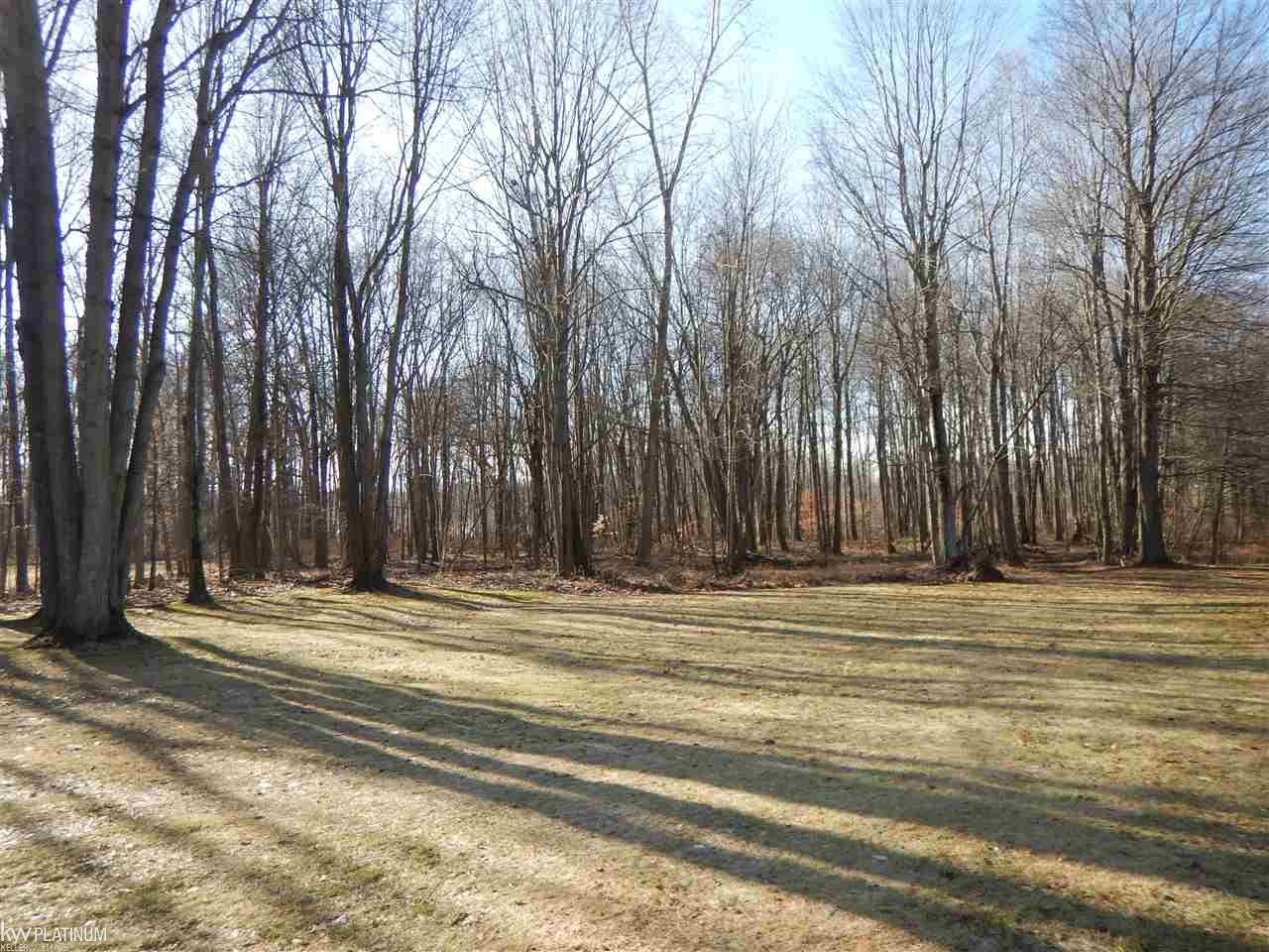 8488 McKinley Road Algonac, MI 48001 - Photo 46 of 52 31338898-45.JPG