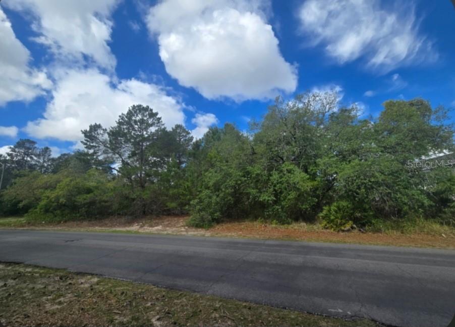 4113 Portillo Road Spring Hill, FL 34608 - Photo 1 of 1 a view of a yard