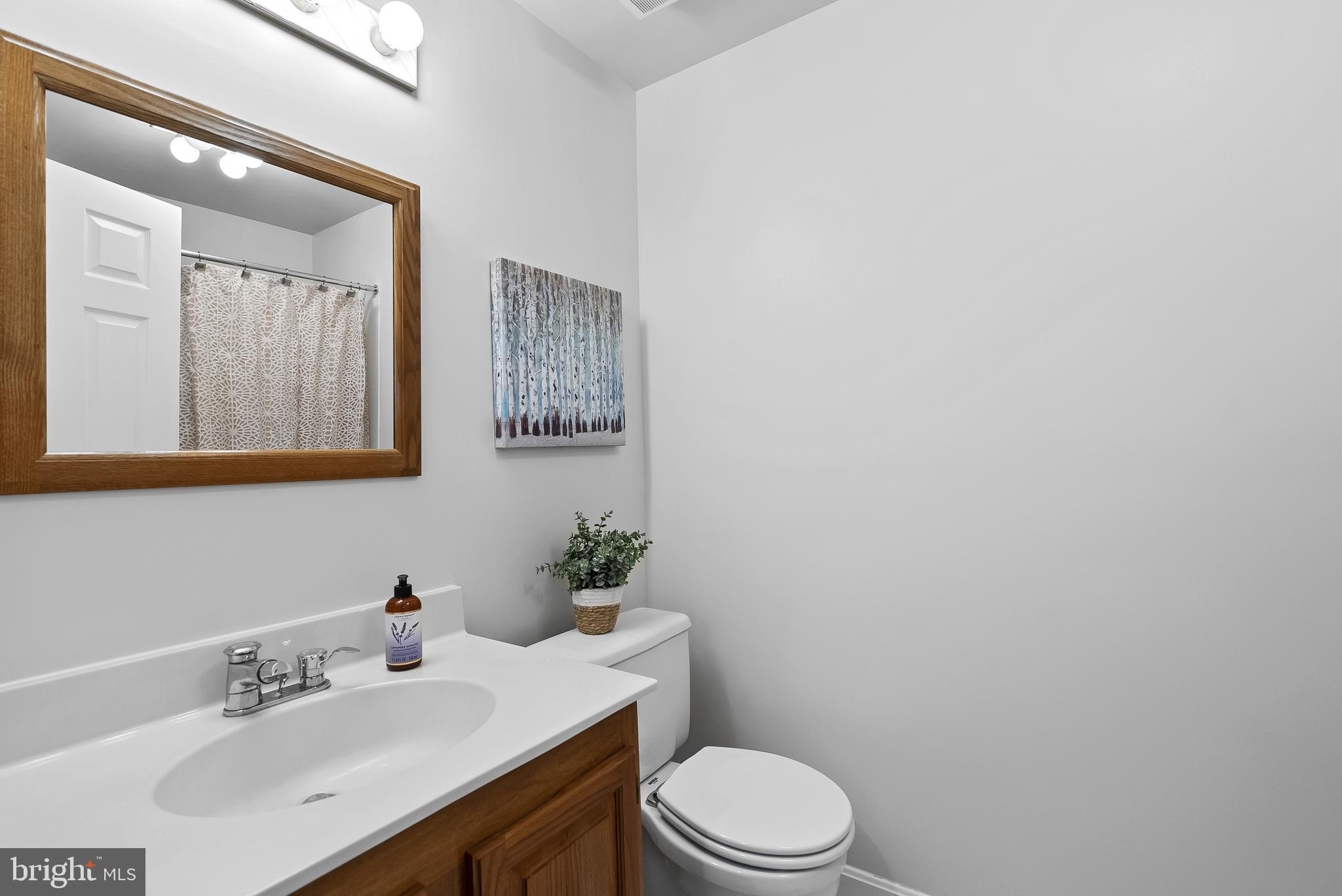 3 Moss Road Sterling, VA 20165 - Photo 56 of 77 Lower Level Full Bath w/ Tub Shower