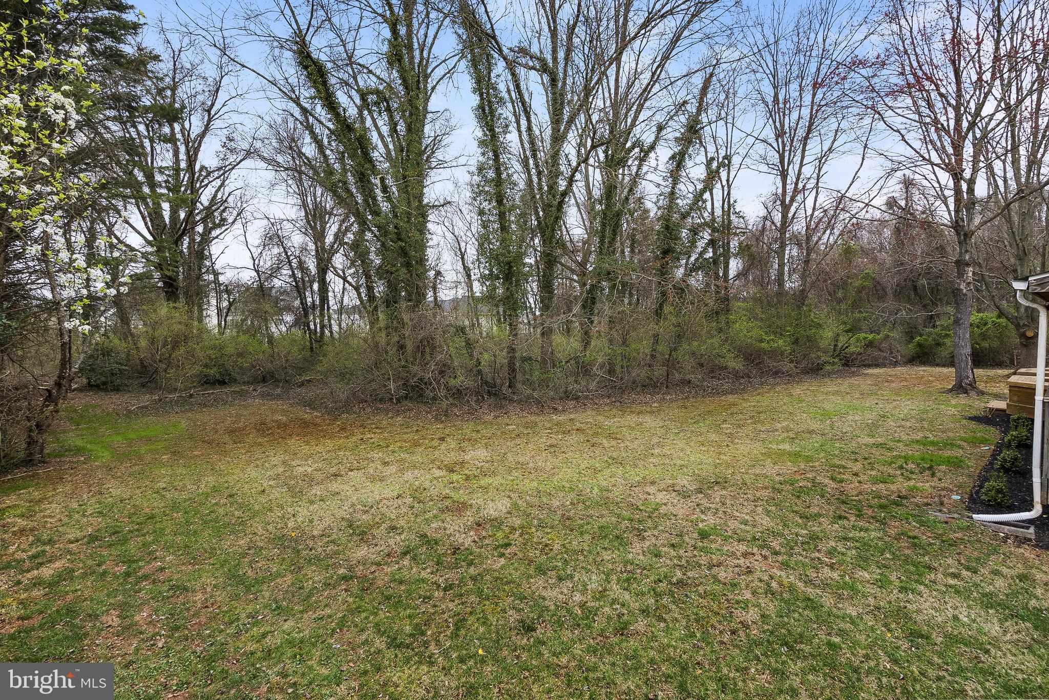 3 Moss Road Sterling, VA 20165 - Photo 63 of 77 Half Acre of Bliss!