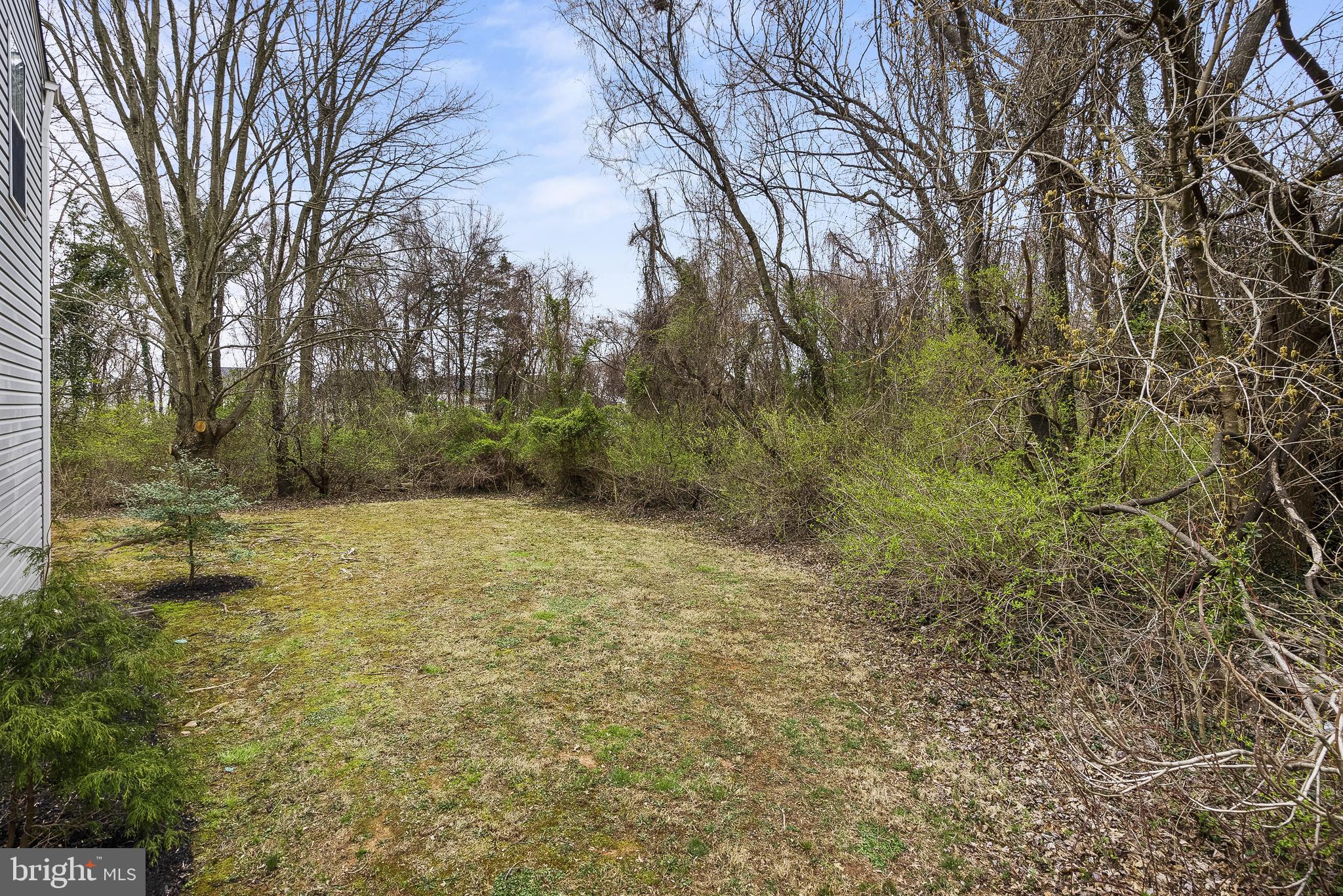 3 Moss Road Sterling, VA 20165 - Photo 67 of 77 No Rear Neighbors = Serenity Now!