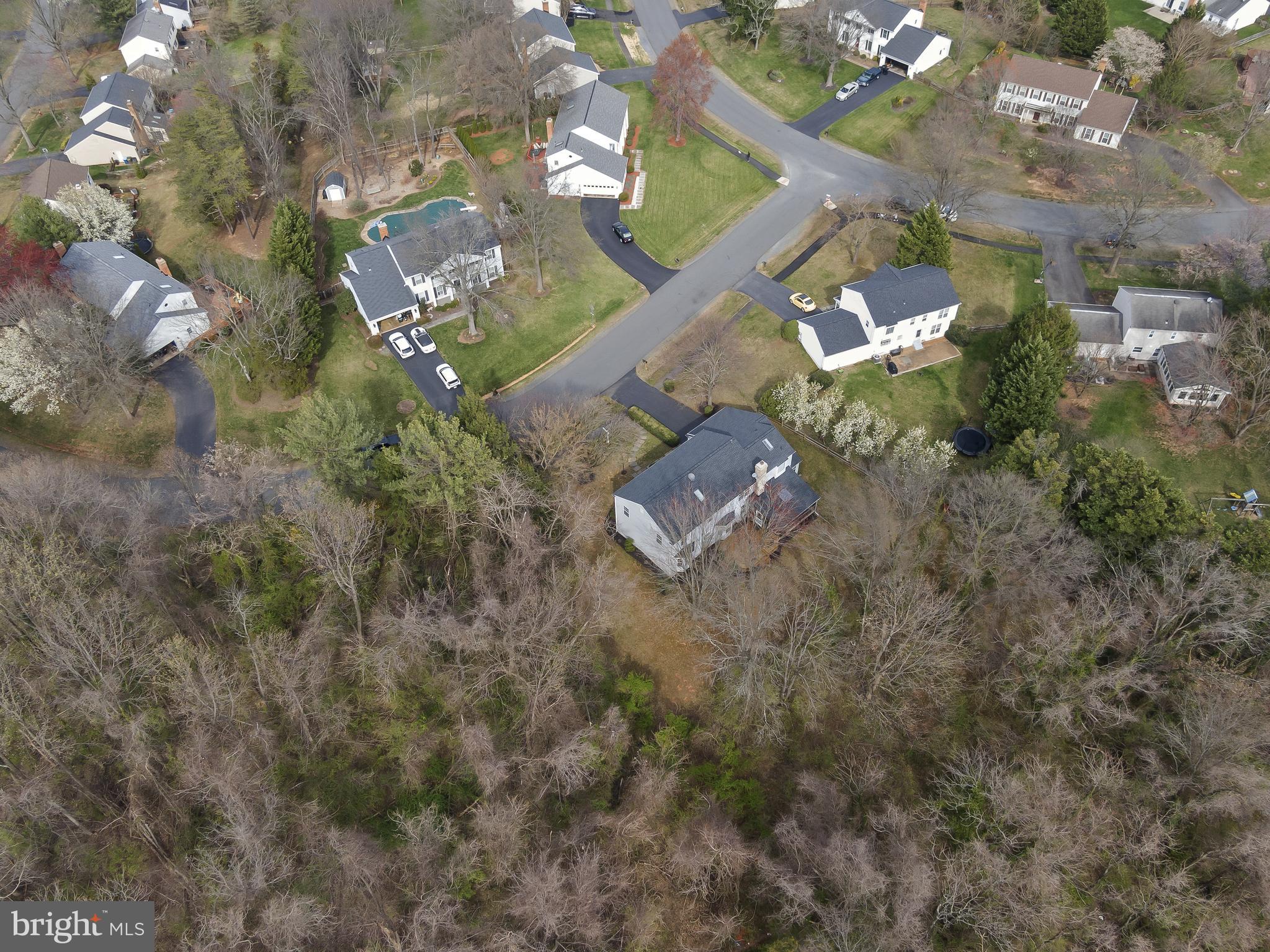 3 Moss Road Sterling, VA 20165 - Photo 71 of 77 Back to Deeply Treed Area