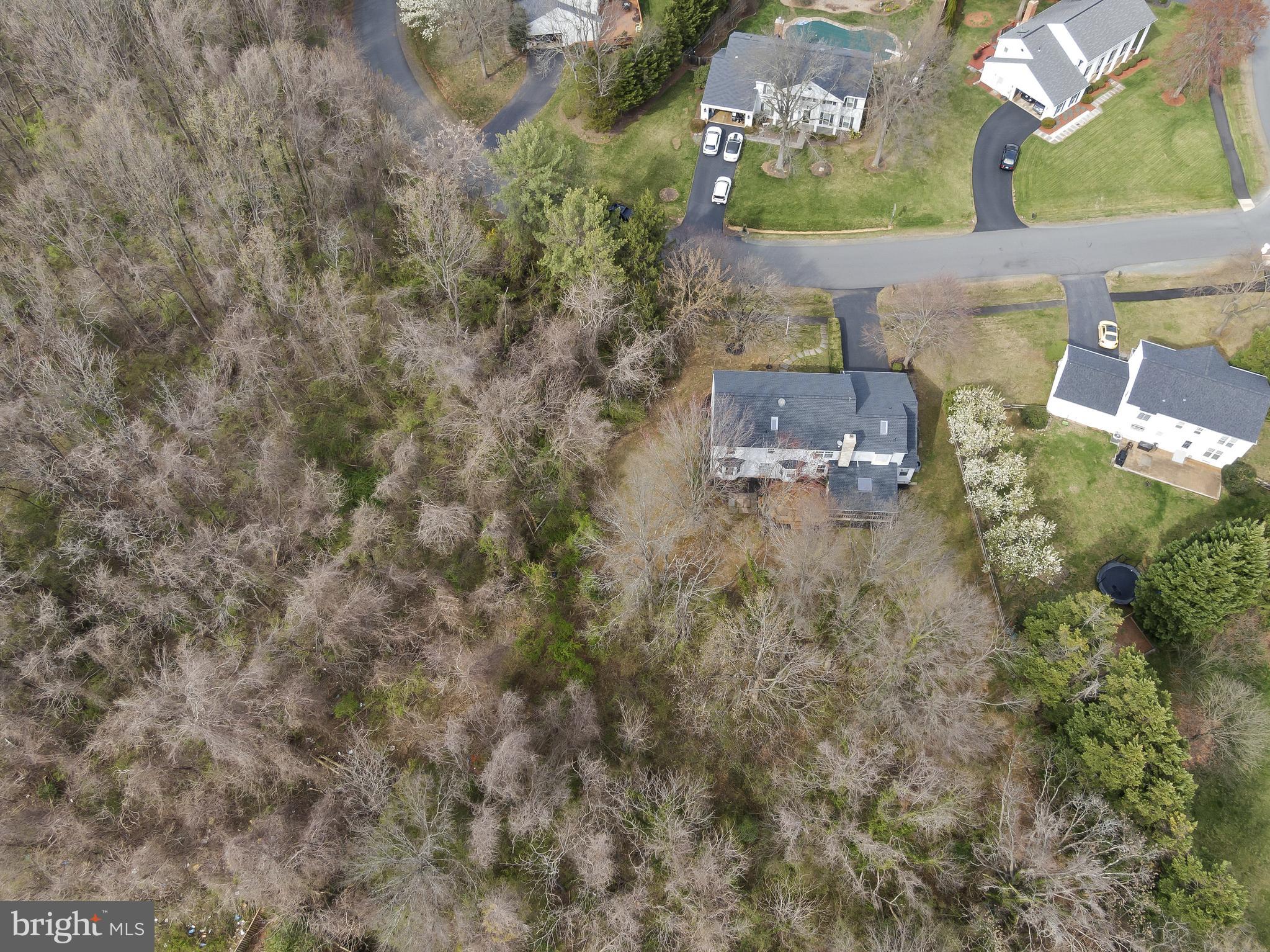 3 Moss Road Sterling, VA 20165 - Photo 73 of 77 Privacy Galore w/ Deep Woods