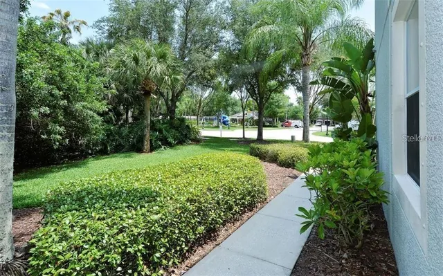 a view of a swimming pool with a yard