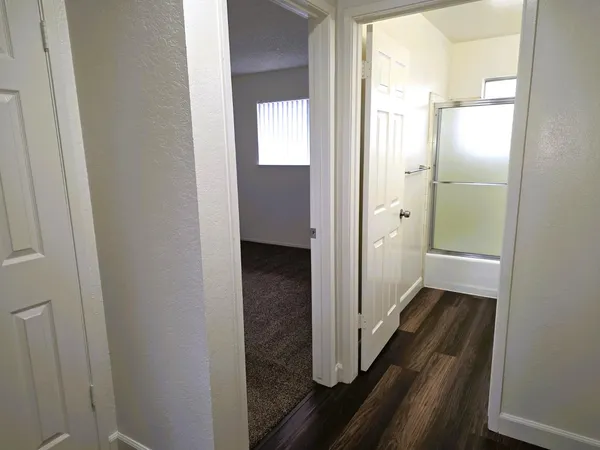 a bathroom with a shower and a sink