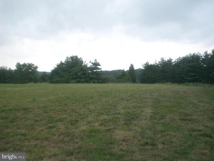 9100 Brown Church Road Mount Airy, MD 21771 - Photo 12 of 14 a view of a field with trees in background