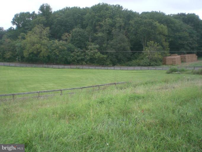 9100 Brown Church Road Mount Airy, MD 21771 - Photo 8 of 14 a view of a field with an outdoor space