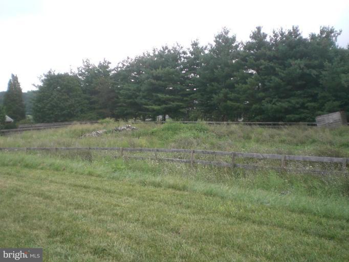 9100 Brown Church Road Mount Airy, MD 21771 - Photo 10 of 14 a view of a dry yard