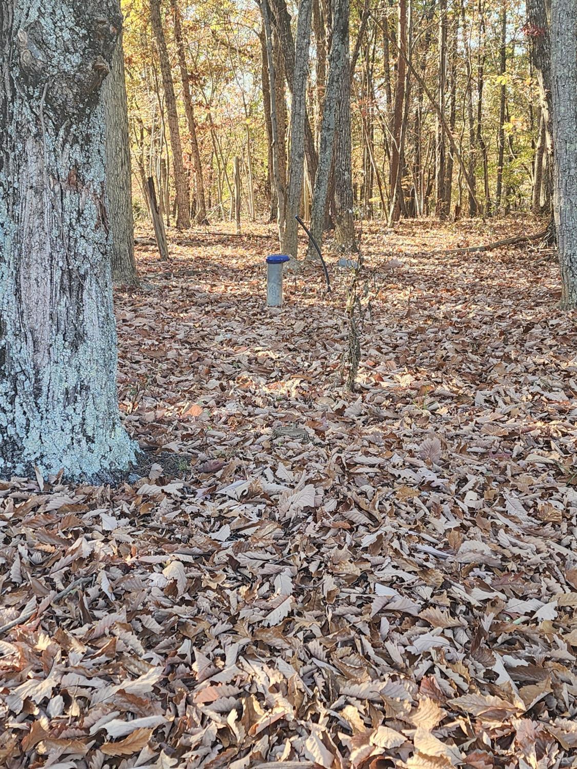 2 Candlers Mountain Road Rustburg, VA 24588 - Photo 1 of 8 Gallery Image 1