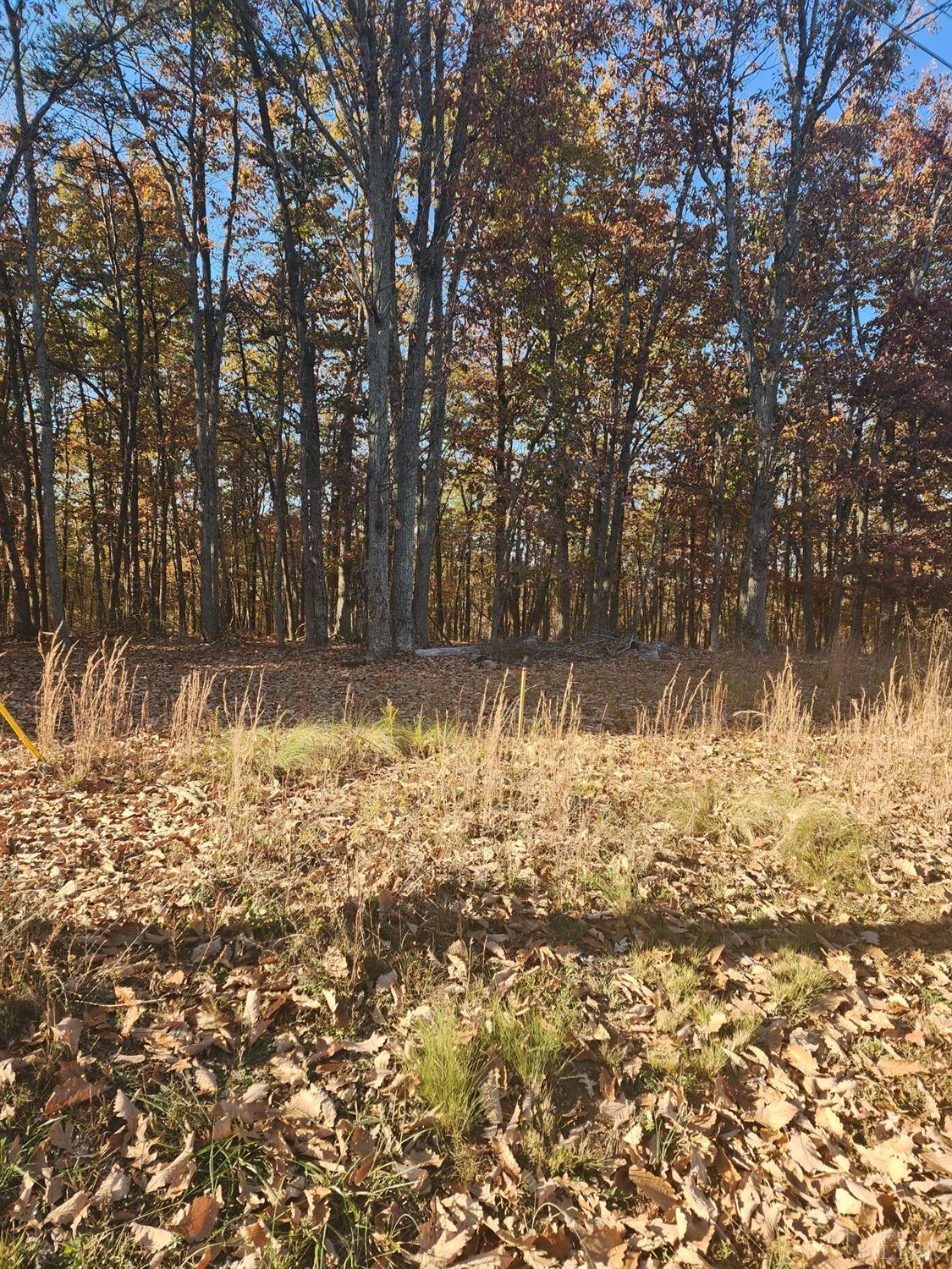 2 Candlers Mountain Road Rustburg, VA 24588 - Photo 3 of 8 Gallery Image 3