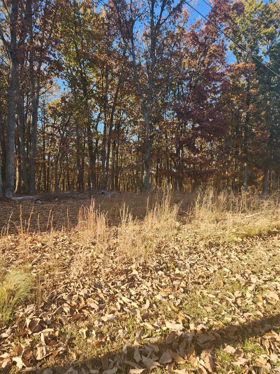 2 Candlers Mountain Road Rustburg, VA 24588 - Photo 4 of 8 Gallery Image 4