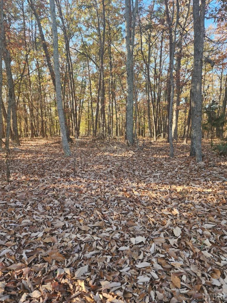 2 Candlers Mountain Road Rustburg, VA 24588 - Photo 5 of 8 Gallery Image 5