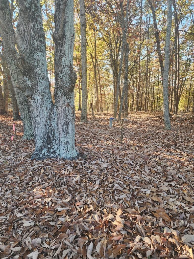 2 Candlers Mountain Road Rustburg, VA 24588 - Photo 6 of 8 Gallery Image 6