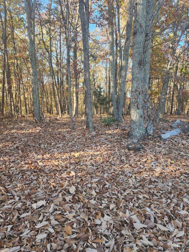2 Candlers Mountain Road Rustburg, VA 24588 - Photo 7 of 8 Gallery Image 7