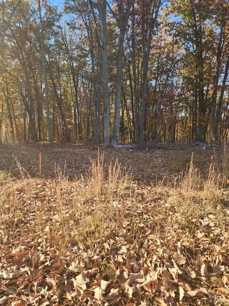 2 Candlers Mountain Road Rustburg, VA 24588 - Photo 8 of 8 Gallery Image 8