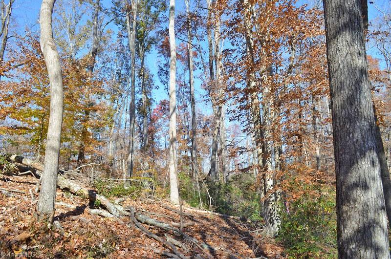 4 Fred Lineberry Road Randleman, NC 27317 - Photo 13 of 36 Gallery Image 13