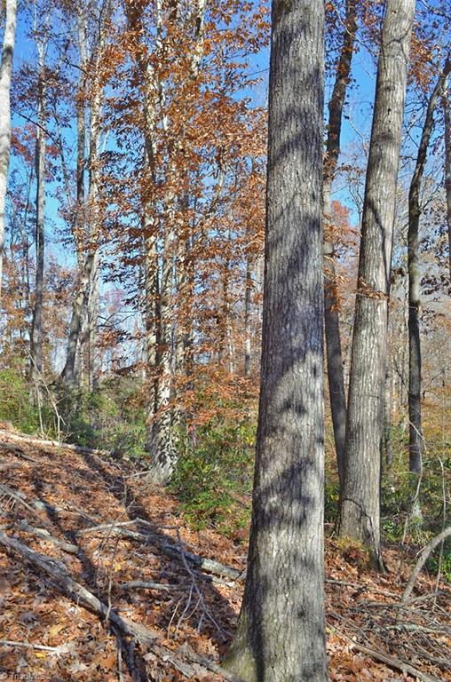 4 Fred Lineberry Road Randleman, NC 27317 - Photo 14 of 36 Gallery Image 14