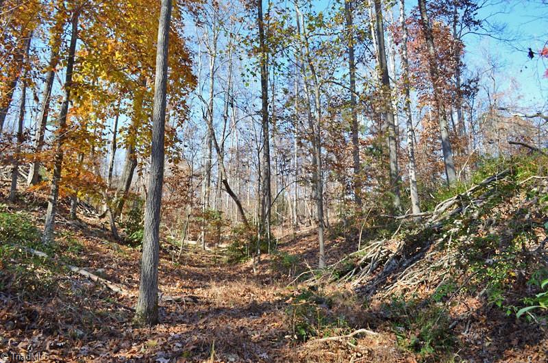 4 Fred Lineberry Road Randleman, NC 27317 - Photo 16 of 36 Gallery Image 16