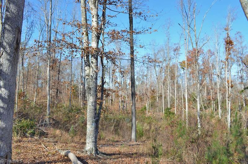 4 Fred Lineberry Road Randleman, NC 27317 - Photo 18 of 36 Gallery Image 18