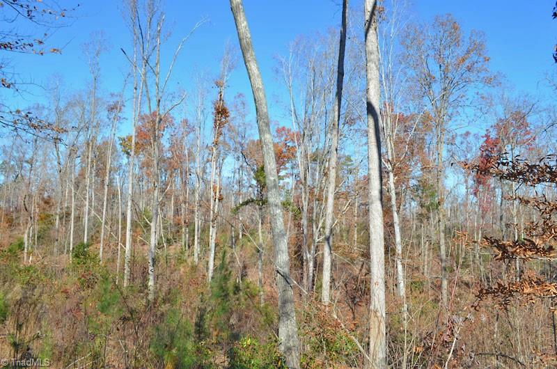 4 Fred Lineberry Road Randleman, NC 27317 - Photo 19 of 36 Gallery Image 19