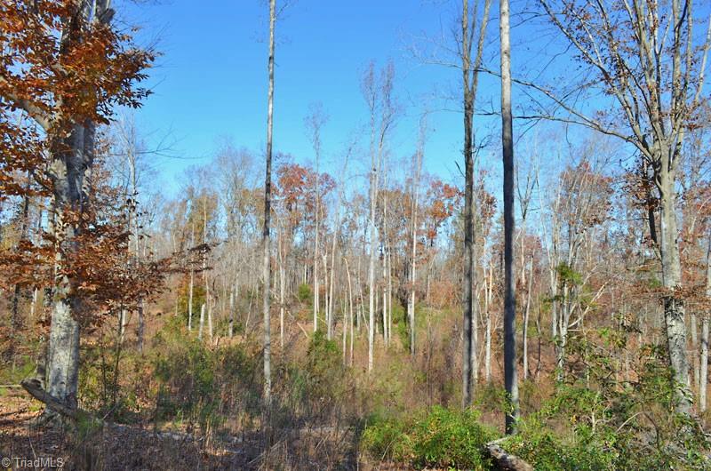 4 Fred Lineberry Road Randleman, NC 27317 - Photo 20 of 36 Gallery Image 20