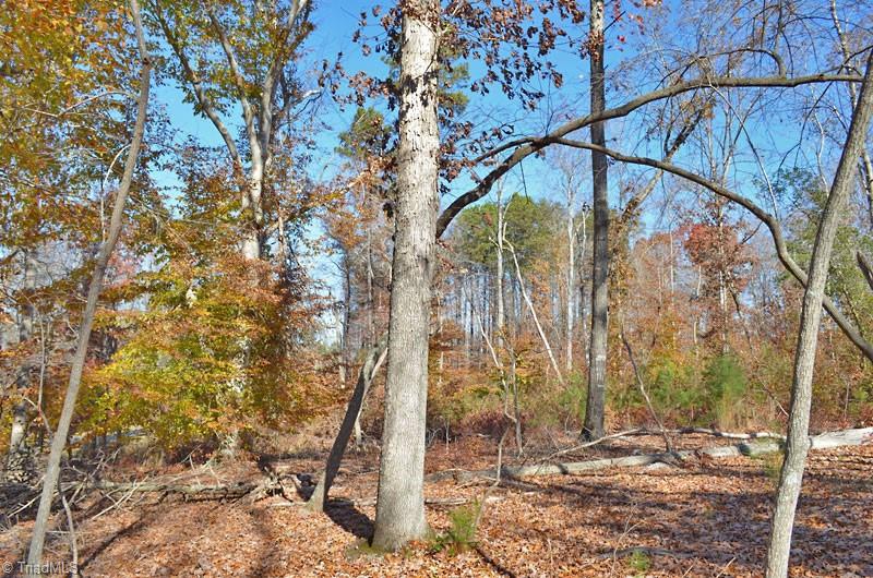 4 Fred Lineberry Road Randleman, NC 27317 - Photo 2 of 36 Gallery Image 2
