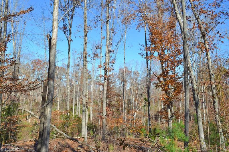 4 Fred Lineberry Road Randleman, NC 27317 - Photo 21 of 36 Gallery Image 21