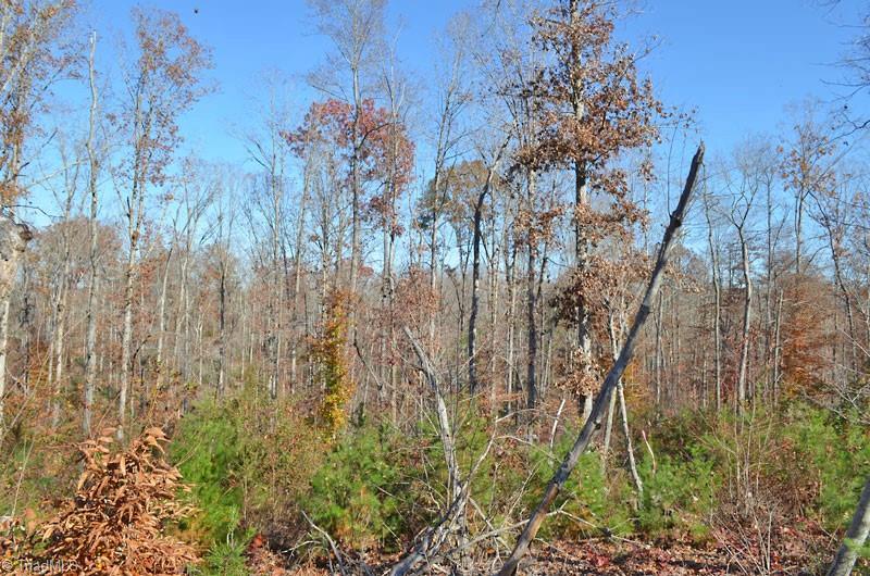 4 Fred Lineberry Road Randleman, NC 27317 - Photo 23 of 36 Gallery Image 23