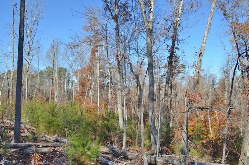 4 Fred Lineberry Road Randleman, NC 27317 - Photo 24 of 36 Gallery Image 24