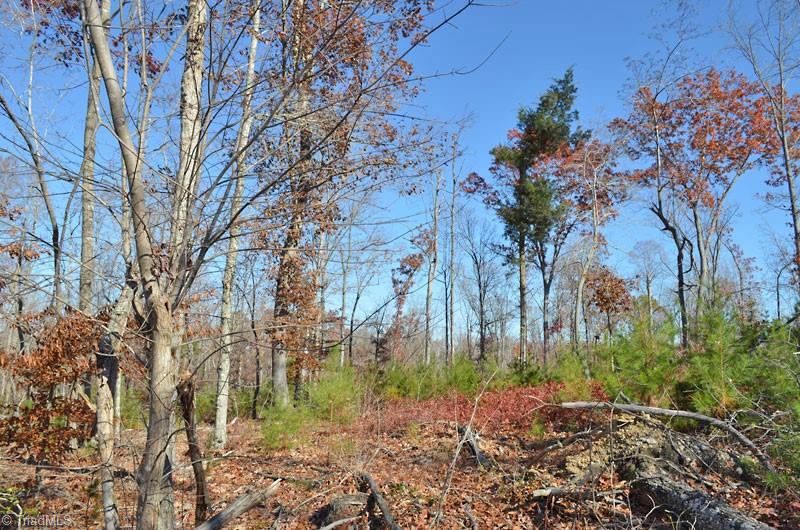 4 Fred Lineberry Road Randleman, NC 27317 - Photo 25 of 36 Gallery Image 25