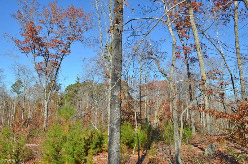 4 Fred Lineberry Road Randleman, NC 27317 - Photo 26 of 36 Gallery Image 26