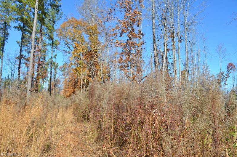 4 Fred Lineberry Road Randleman, NC 27317 - Photo 31 of 36 Gallery Image 31