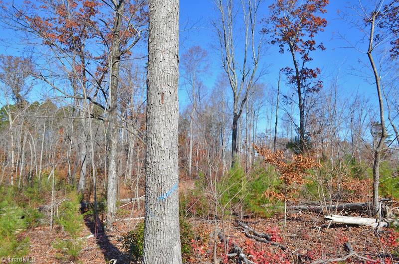 4 Fred Lineberry Road Randleman, NC 27317 - Photo 6 of 36 Gallery Image 6