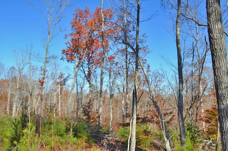 4 Fred Lineberry Road Randleman, NC 27317 - Photo 7 of 36 Gallery Image 7