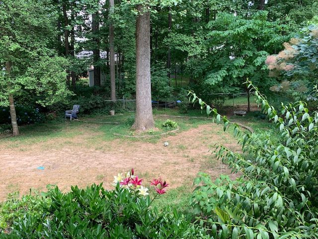 6616 Glendower Road Raleigh, NC 27613 - Photo 27 of 30 Photo 27