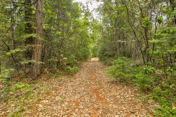 $875,000 | 0 Foresthill Road, Foresthill, CA 95631